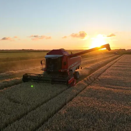 Bed and Breakfast Slufterhoeve