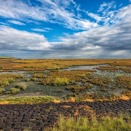 Slufterhoeve Frühstückspension De Cocksdorp (Texel)