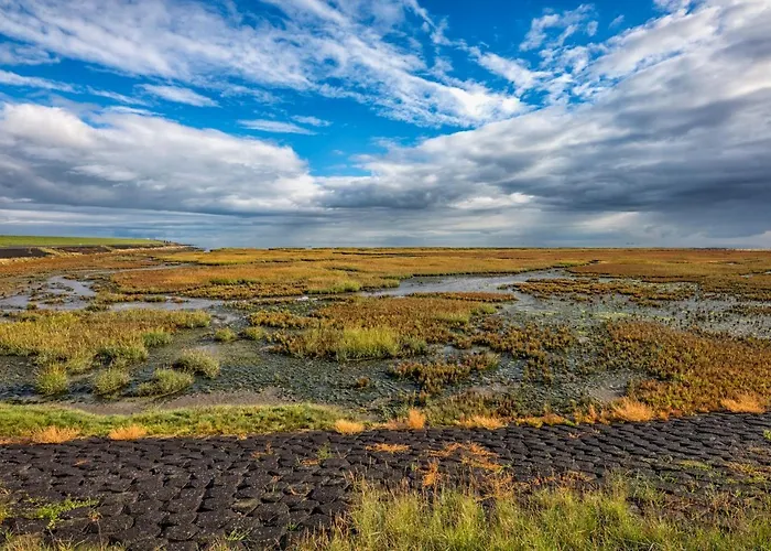 Slufterhoeve B&B 더콕스도르프