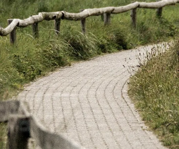 Bed & Breakfast Slufterhoeve De Cocksdorp (Texel)